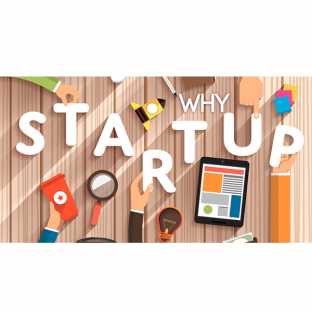 Why Startup?